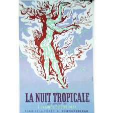 La Nuit tropicale au profit de l'enfance d'Outre-Mer.