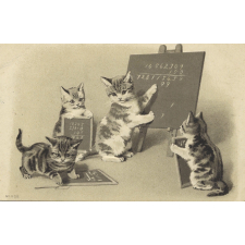 Leçon de calcul pour chats. 