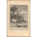 Fable de La Fontaine. Le loup et l'agneau. Fable X.