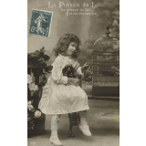 Le Pinson de Lili.