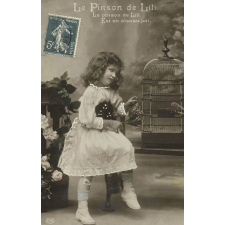 Le Pinson de Lili.