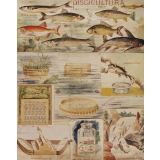 Tableau mural. Piscicultura.