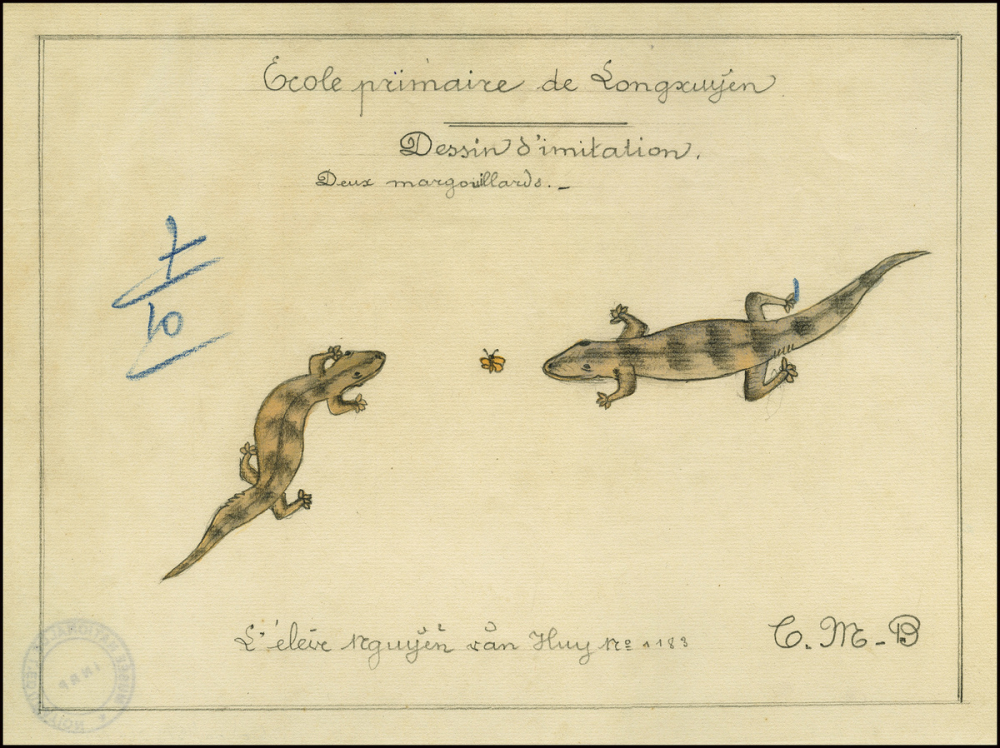 Cochinchine/Dessin d'imitation : des margouillats.