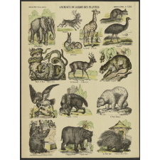 Animaux du jardin des plantes.