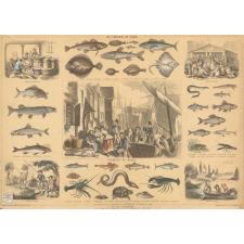 Les poissons de table.