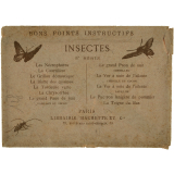Insectes