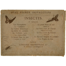 Insectes