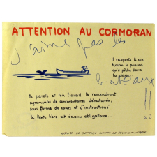 Attention au cormoran.