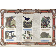 Histoire Naturelle Populaire : Pl. N° 2- Les ennemis et les auxillaires naturels des Cultivateurs publié par ordre du Ministre de l'Instruction Publique pour les Écoles primaires, cours d'adultes, etc.