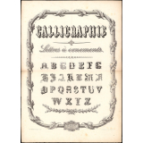 Calligraphie. Lettres à ornements.