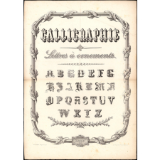Calligraphie. Lettres à ornements.