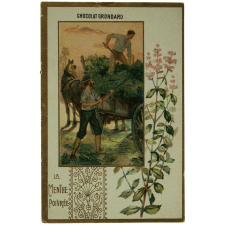 Cartes réclame. Chocolat Grondard. La menthe poivrée.