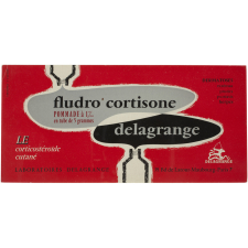 Buvard publicitaire. Fludro Cortisone Delagrange.