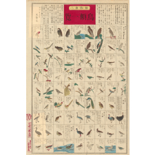 Planche japonaise de zoologie : les oiseaux. 
