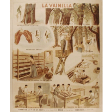 Tableau mural. La vainilla.