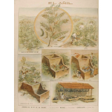 Tableau mural. El añil.