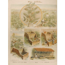 Tableau mural. El añil.