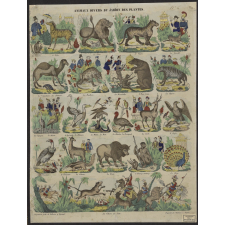 Animaux divers du Jardin des Plantes.