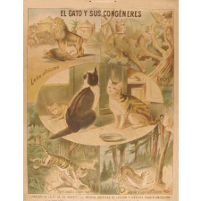 Tableau mural. El gato y sus congéneres.