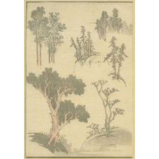 Estampe japonaise. Arbres.