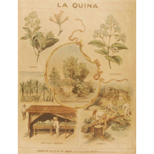 Tableau mural. La quina.