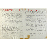Comité I.H.P.