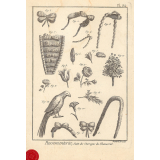 Passementerie, Suite des ouvrages du plumassier.