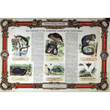 Histoire Naturelle Populaire : Pl. N° 1- Les ennemis et les auxillaires naturels des Cultivateurs publié par ordre du Ministre de l'Instruction Publique pour les Écoles primaires, cours d'adultes, etc.