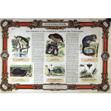 Histoire Naturelle Populaire : Pl. N° 1- Les ennemis et les auxillaires naturels des Cultivateurs publié par ordre du Ministre de l'Instruction Publique pour les Écoles primaires, cours d'adultes, etc.