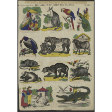 Les Animaux du Jardin des Plantes.