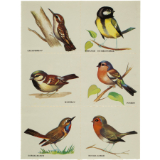 Planche de bons points. Les oiseaux