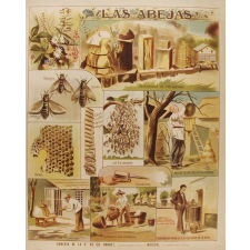 Tableau mural. Las abejas.