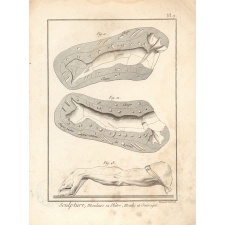 Sculpture, Mouleurs en Plâtre, Moules et Ouvrages.