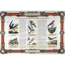 Histoire Naturelle Populaire : Pl. N° 5- Les ennemis et les auxillaires naturels des Cultivateurs publié par ordre du Ministre de l'Instruction Publique pour les Écoles primaires, cours d'adultes, etc.