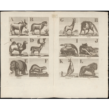 Alphabet de l'histoire des animaux orné de 27 gravures.