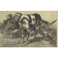 Le Chien ambulancier.
