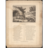 Fable de La Fontaine. . Le Lion.