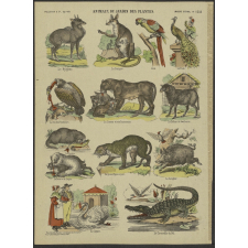 Animaux du jardin des plantes.