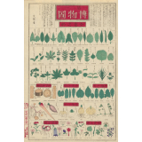 Planche japonaise bilingue de botanique. 