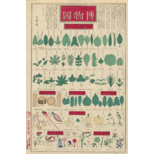 Planche japonaise bilingue de botanique. 