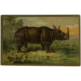 Images à collectionner. Les Animaux.