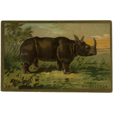Images à collectionner. Les Animaux.