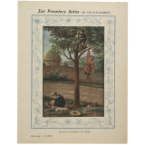 Entorse en tombant d'un arbre - Les Premiers Soins (en cas d'accident). 