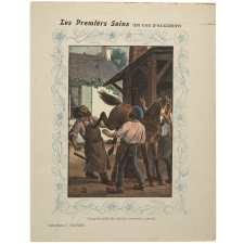 Coup de pied de cheval (contusion grave) - Les Premiers Soins (en cas d'accident).