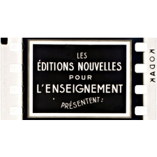 Petits et grands animaux de la ferme. 7. Le mouton.