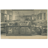 19 - Ecole de Saint-Cyr - La salle des collections.