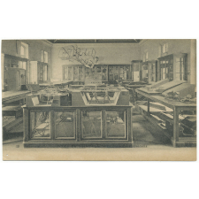 19 - Ecole de Saint-Cyr - La salle des collections.