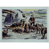 Les chiens de traineau