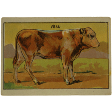 Image à collectionner. Veau.