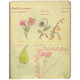 Cahier de dessin et cartographie. 